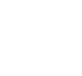 Aurorapackaging